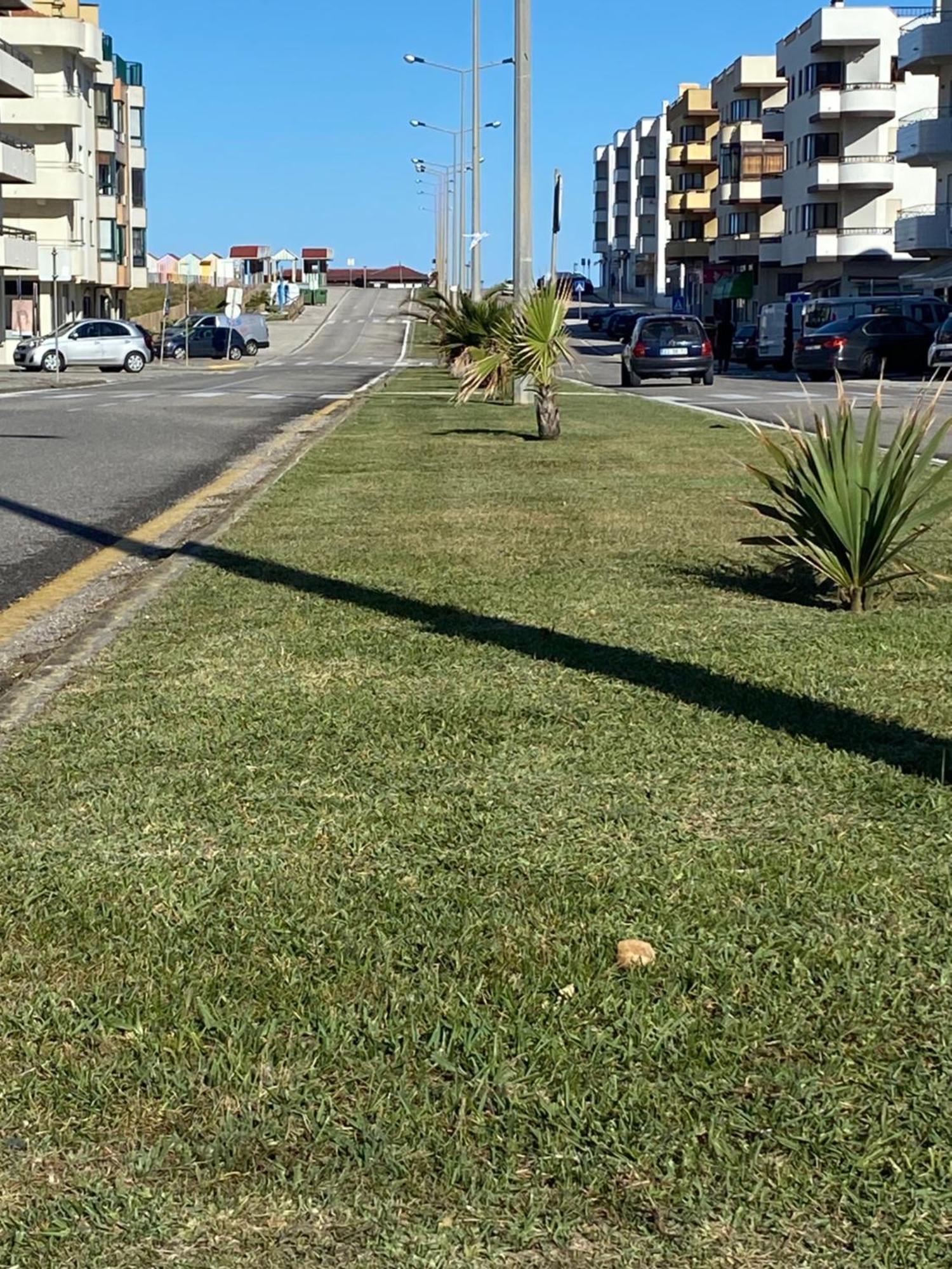 Apartamento Vista Mar Vieira de Leiria Luaran gambar